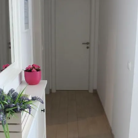 Albatros Apartment